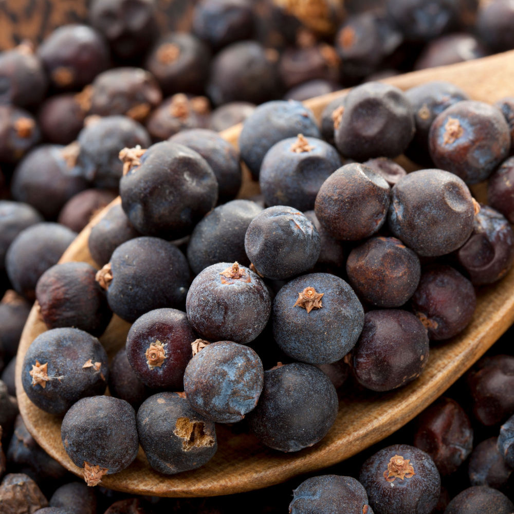 Juniper berries on a wooden spoon.